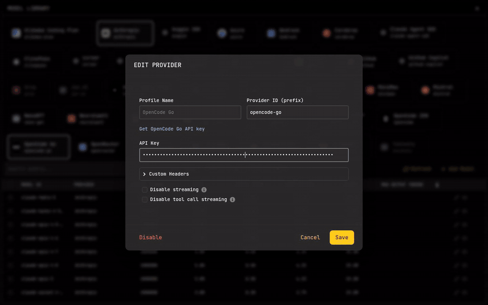 Provider configuration with API keys